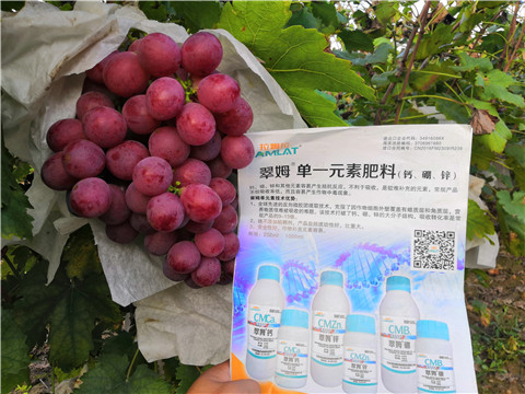 水溶肥，鈣肥，硼肥