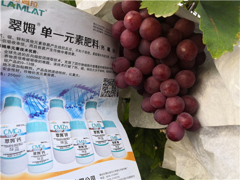 水溶肥，鈣肥，硼肥
