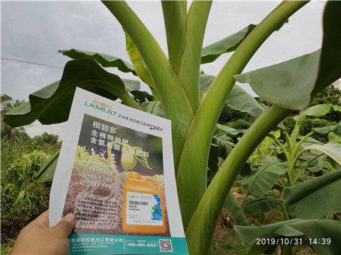 葉面肥，微生物菌劑，硼肥，水溶肥