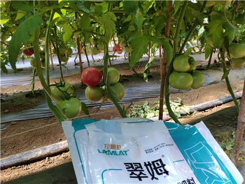 水溶肥，
