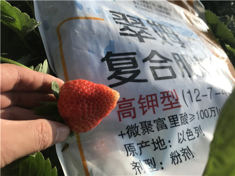 水溶，拉姆拉，翠姆
