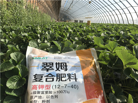 水溶，拉姆拉，翠姆