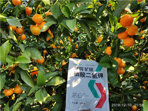 水溶肥，磷酸二氫鉀
