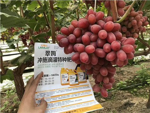 沖施肥，拉姆拉