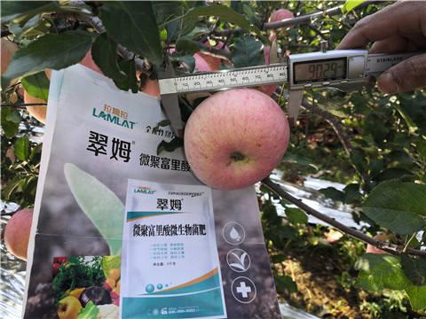 水溶肥，磷酸二氫鉀，微生物菌劑