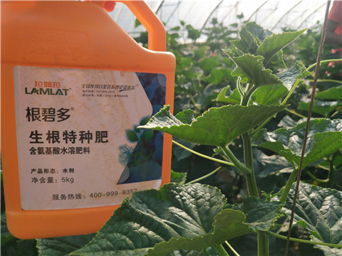 拉姆拉，根碧多，微生物菌劑