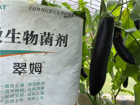 微生物菌劑，拉姆拉