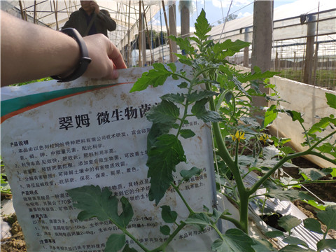 微生物菌劑 ，拉姆拉翠姆