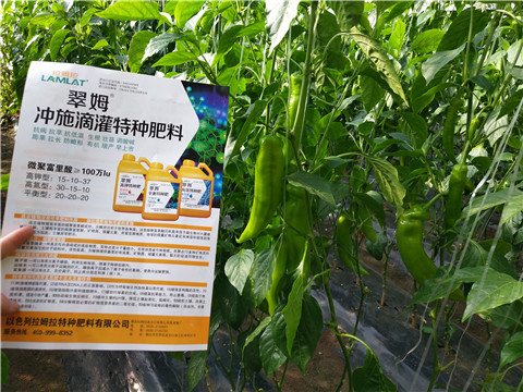 水溶肥，拉姆拉