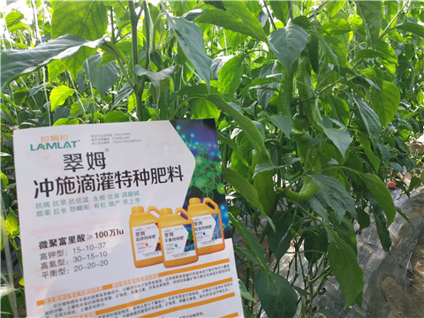 水溶肥，拉姆拉