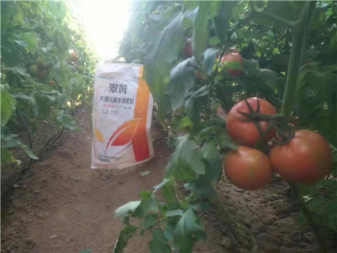 大量元素水溶肥，拉姆拉 