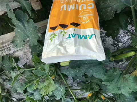 水溶肥，拉姆拉