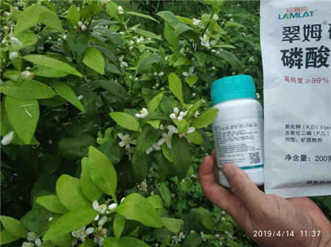 水溶肥，根碧多