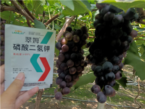 磷酸二氫鉀，葉面肥