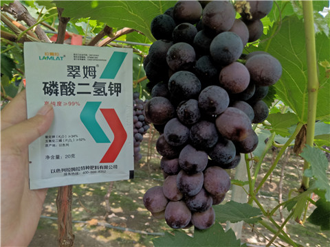 磷酸二氫鉀，葉面肥