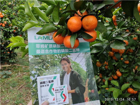 磷酸二氫鉀，鈣肥，硼肥