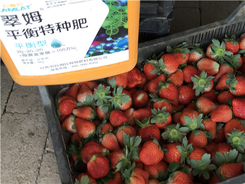 沖施肥，磷酸二氫鉀