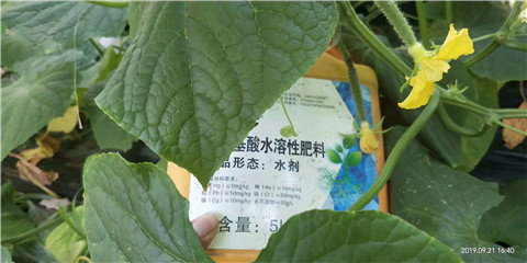 水溶肥，翠姆