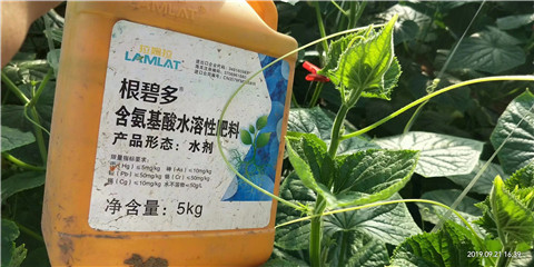 水溶肥，翠姆