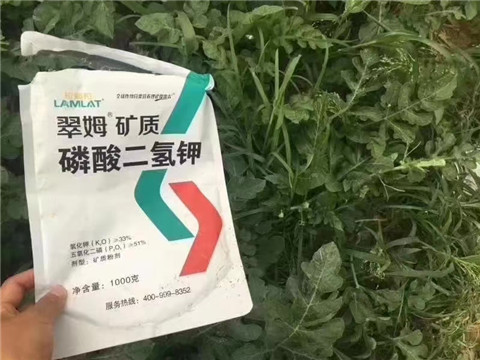 磷酸二氫鉀，硼肥，沖施肥