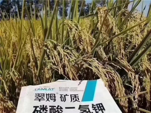 磷酸二氫鉀，翠姆