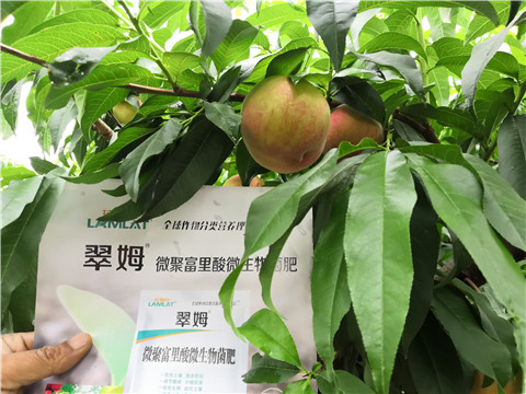 根碧多，微生物菌劑