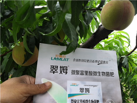 根碧多，微生物菌劑