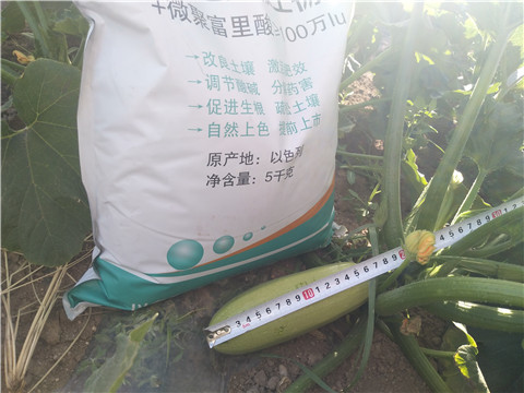 微生物菌劑，磷酸二氫鉀