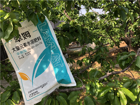 大量元素水溶肥，磷酸二氫鉀，硼肥
