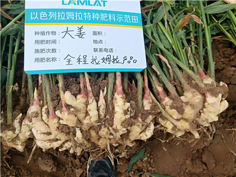 水溶肥，微生物菌劑，拉姆拉