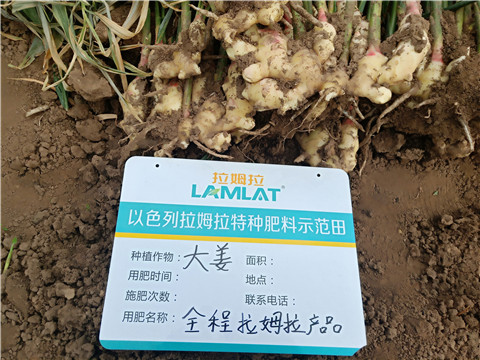 水溶肥，微生物菌劑，拉姆拉
