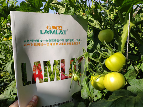 微生物菌劑，拉姆拉，伯示麥