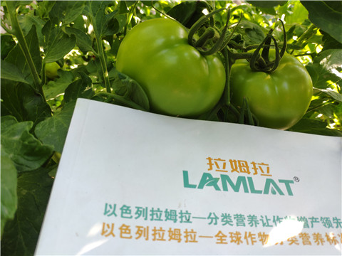 微生物菌劑，拉姆拉，伯示麥