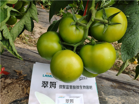 葉面肥，微生物菌劑，磷酸二氫鉀