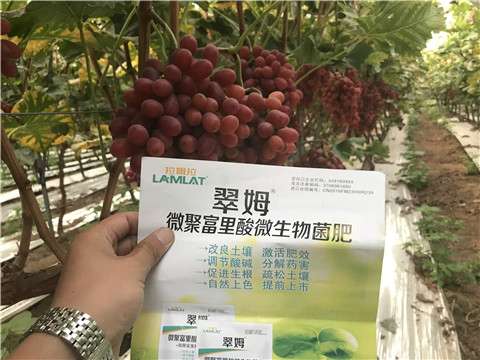 微生物菌劑，硼肥，鈣肥