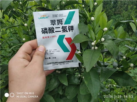 磷酸二氫鉀，硼肥，拉姆拉