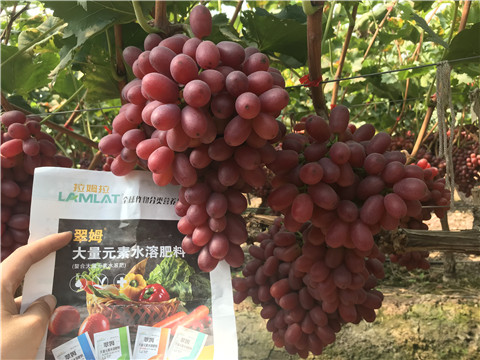水溶肥，拉姆拉