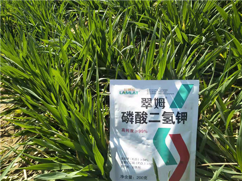 磷酸二氫鉀，葉面肥，拉姆拉