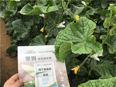 微生物菌劑，水溶肥，拉姆拉