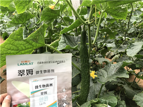 微生物菌劑，水溶肥，拉姆拉