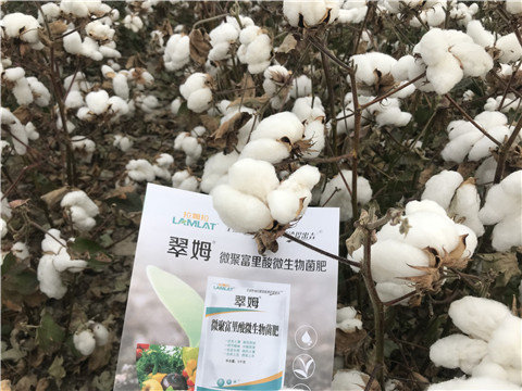 微生物菌劑，根碧多，拉姆拉