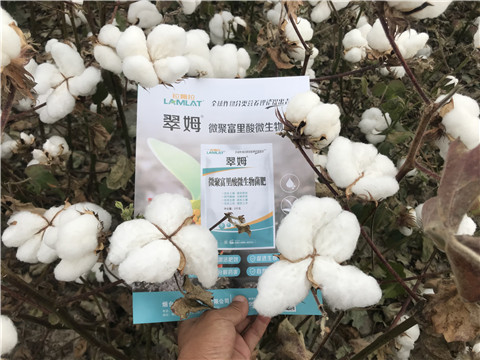 微生物菌劑，根碧多，拉姆拉