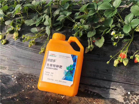 根碧多，微生物菌劑，拉姆拉