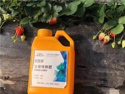 根碧多，微生物菌劑，拉姆拉