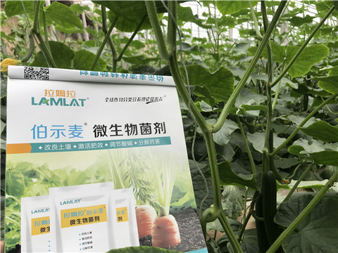 微生物菌劑，生根劑，拉姆拉