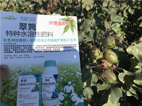 葉面肥，拉姆拉