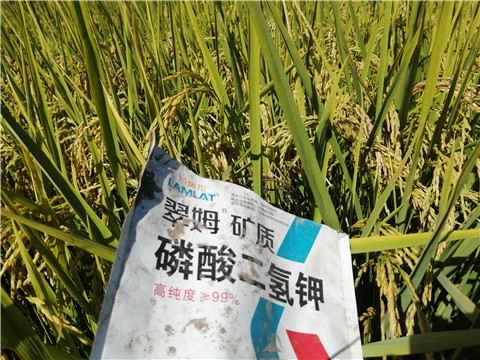 磷酸二氫鉀，翠姆，拉姆拉