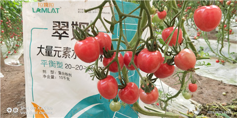 水溶肥，翠姆，拉姆拉