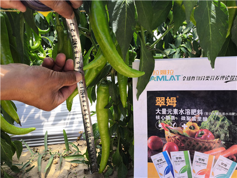 復合肥料，拉姆拉