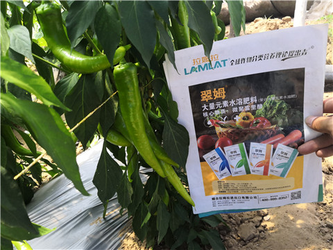 復合肥料，拉姆拉